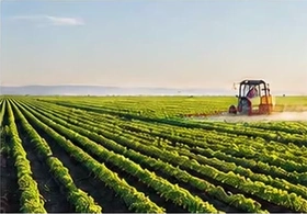 Farm